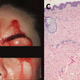 Image Reprinted with permission from CMAJ